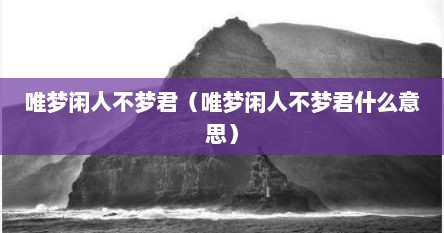 唯梦闲人不梦君（唯梦闲人不梦君什么意思）