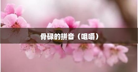 骨碌的拼音（咀嚼）