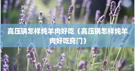 高压锅怎样炖羊肉好吃（高压锅怎样炖羊肉好吃窍门）
