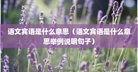 语文宾语是什么意思（语文宾语是什么意思举例说明句子）
