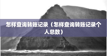 怎样查询转账记录（怎样查询转账记录个人总数）