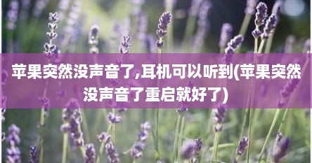 苹果突然没声音了,耳机可以听到(苹果突然没声音了重启就好了)