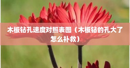 木板钻孔速度对照表图（木板钻的孔大了怎么补救）