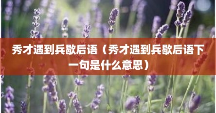 秀才遇到兵歇后语（秀才遇到兵歇后语下一句是什么意思）