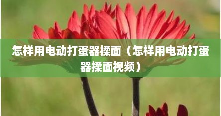 怎样用电动打蛋器揉面（怎样用电动打蛋器揉面视频）