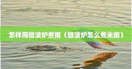 怎样用微波炉煮粥（微波炉怎么煮米粥）