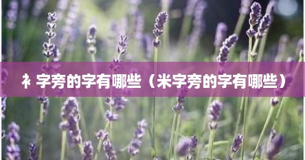 衤字旁的字有哪些（米字旁的字有哪些）