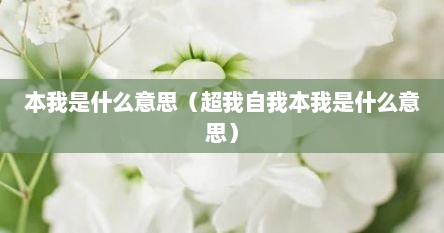 本我是什么意思（超我自我本我是什么意思）