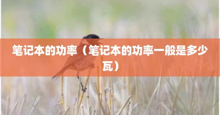 笔记本的功率（笔记本的功率一般是多少瓦）