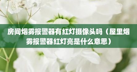 房间烟雾报警器抽烟是否报警（房间里的烟雾报警器一直亮红灯）