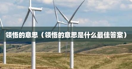 领悟的意思（领悟的意思是什么最佳答案）