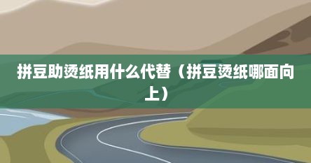 拼豆助烫纸用什么代替（拼豆烫纸哪面向上）