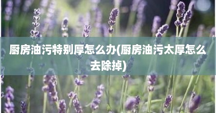 厨房油污特别厚怎么办(厨房油污太厚怎么去除掉)