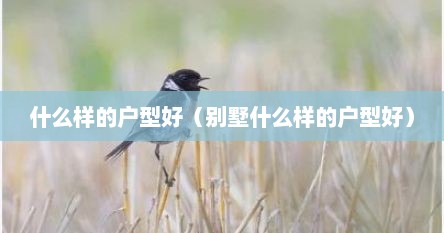 什么样的户型好（别墅什么样的户型好）