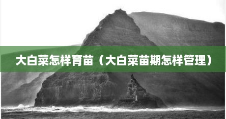大白菜怎样育苗（大白菜苗期怎样管理）
