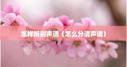 怎样辨别声调（怎么分清声调）