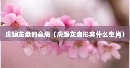 虎踞龙盘的意思（虎踞龙盘形容什么生肖）