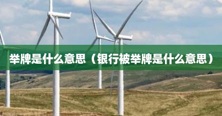 举牌是什么意思（银行被举牌是什么意思）