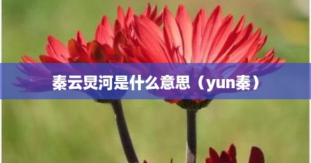 秦云炅河是什么意思（yun秦）