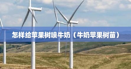 怎样给苹果树喷牛奶（牛奶苹果树苗）