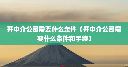 开中介公司需要什么条件（开中介公司需要什么条件和手续）