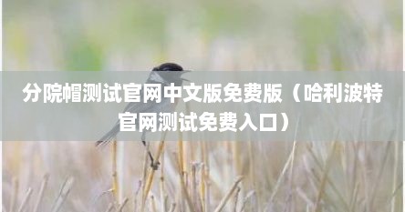 分院帽测试官网中文版免费版（哈利波特官网测试免费入口）