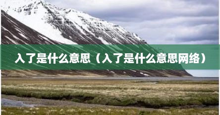 入了是什么意思（入了是什么意思网络）
