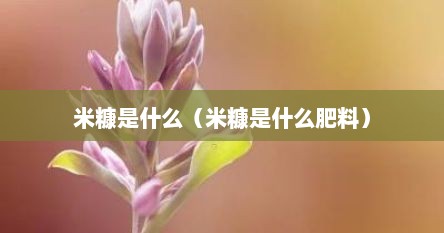 米糠是什么（米糠是什么肥料）