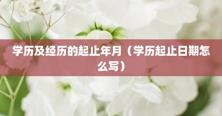 学历及经历的起止年月(学历起止日期怎么写) 学历及经历的起止年月(学历起止日期怎么写)