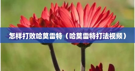 怎样打败哈莫雷特（哈莫雷特打法视频）