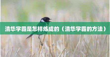 清华学霸是怎样炼成的（清华学霸的方法）