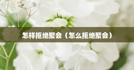 怎样拒绝聚会（怎么拒绝聚会）
