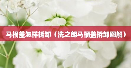 马桶盖怎样拆卸（洗之朗马桶盖拆卸图解）