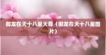 御龙在天十八星天尊（御龙在天十八星图片）