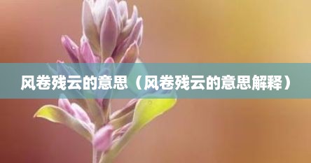 风卷残云的意思（风卷残云的意思解释）