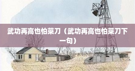 武功再高也怕菜刀（武功再高也怕菜刀下一句）