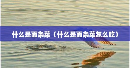 什么是面条菜（什么是面条菜怎么吃）