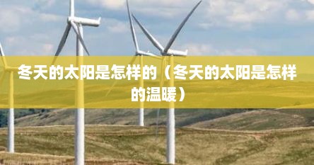 冬天的太阳是怎样的（冬天的太阳是怎样的温暖）