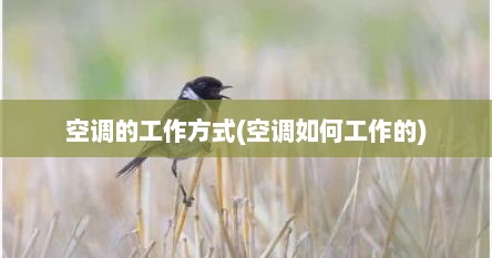 空调的工作方式(空调如何工作的)