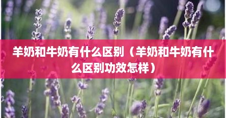 羊奶和牛奶有什么区别（羊奶和牛奶有什么区别功效怎样）