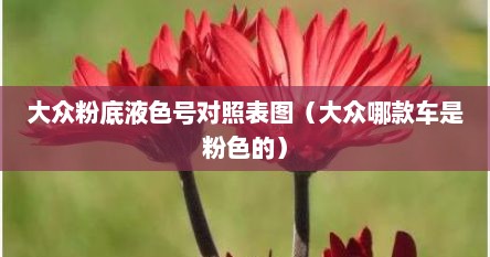 大众粉底液色号对照表图（大众哪款车是粉色的）