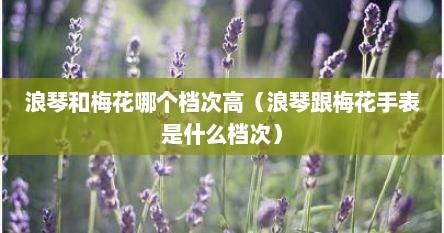 浪琴与梅花哪个牌子好（浪琴和梅花手表哪个质量好）