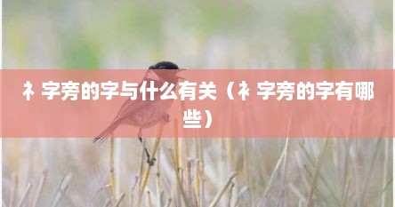 礻字旁的字与什么有关（衤字旁的字有哪些）