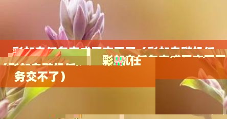 彩虹岛任务完成了交不了（彩虹岛随机任务交不了）