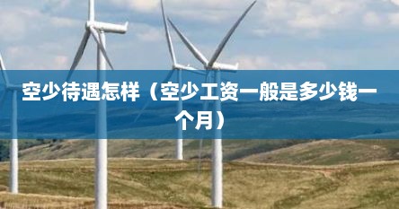 空少待遇怎样（空少工资一般是多少钱一个月）