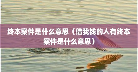 终本案件是什么意思（借我钱的人有终本案件是什么意思）