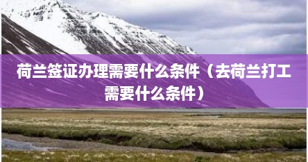 荷兰签证办理需要什么条件（去荷兰打工需要什么条件）
