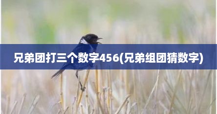 兄弟团打三个数字456(兄弟组团猜数字)