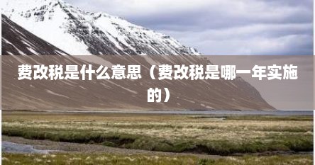 费改税是什么意思（费改税是哪一年实施的）