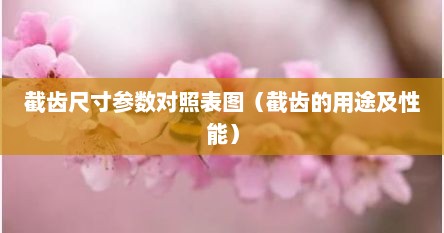 截齿尺寸参数对照表图（截齿的用途及性能）